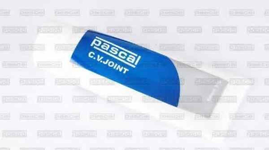 Cap planetara NISSAN TERRANO II R20 PASCAL G11052PC