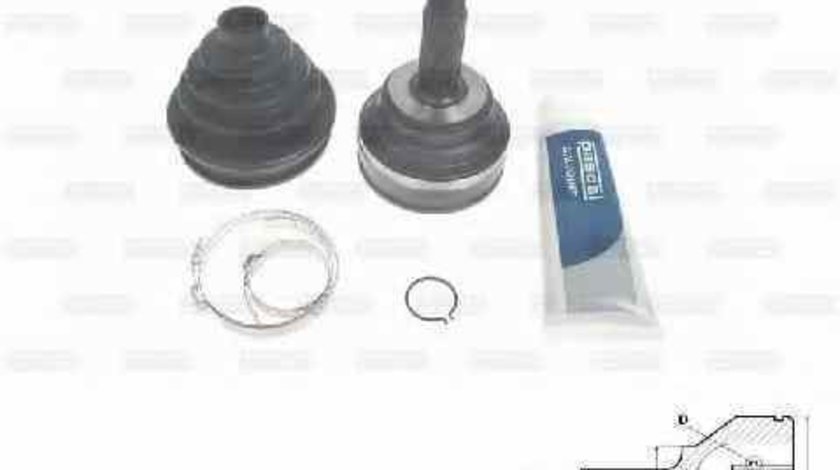 Cap planetara RENAULT 19 I B/C53 Producator PASCAL G1R004PC