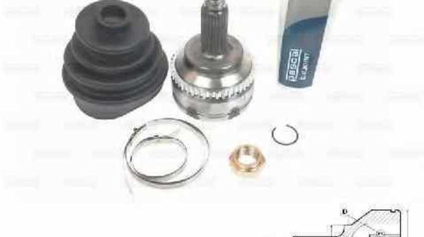 Cap planetara RENAULT MEGANE I (BA0/1_) PASCAL G1R022PC