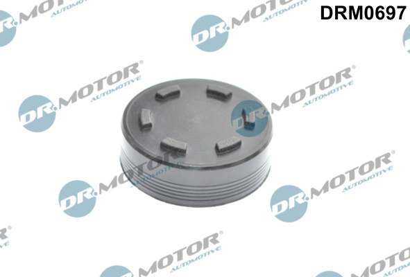 Capac conector, bolt principal (DRM0697 DRM) AUDI,PORSCHE,SKODA,SPYKER,VW