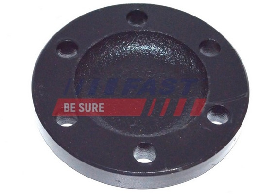 Capac De Protectie,butuc Roata Fast Iveco FT23057