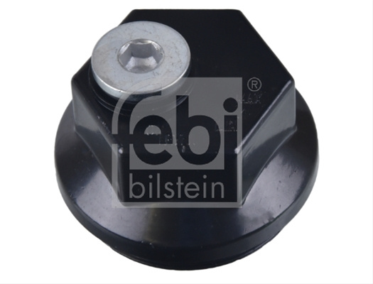 Capac De Protectie Butuc Roata Febi Iveco 172480
