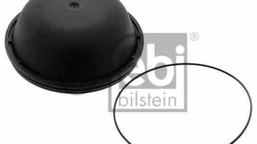 capac de protectie,butuc roata Producator FEBI BILSTEIN 46134