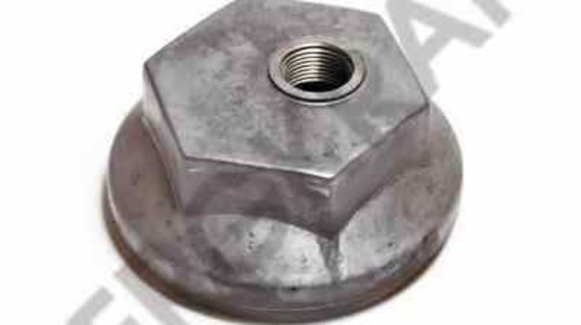 capac de protectie butuc roata Producator IVECO 718 4091