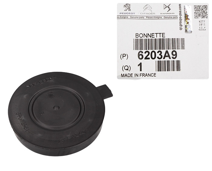 Capac Far Oe Citroen 6203A9