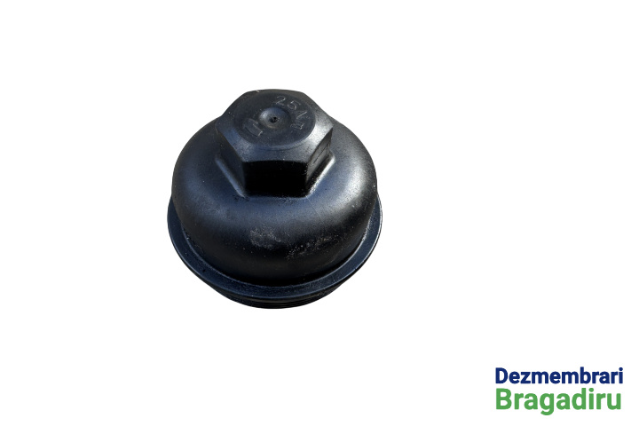 Capac filtru ulei BMW Seria 1 F20/F21 [2011 - 2015] Hatchback 5-usi 120d MT (184 hp) Pachet M Cod motor: N47D20C