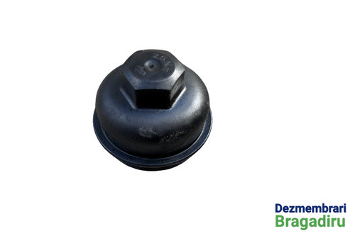 Capac filtru ulei BMW Seria 1 F20/F21 [2011 - 2015] Hatchback 5-usi 120d MT (184 hp) Pachet M Cod mo...