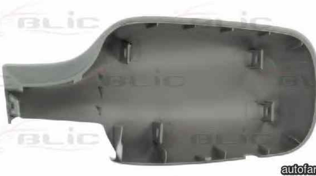 Capac oglinda exterioara RENAULT CLIO III BR0/1 CR0/1 BLIC 6103-01-1312175P