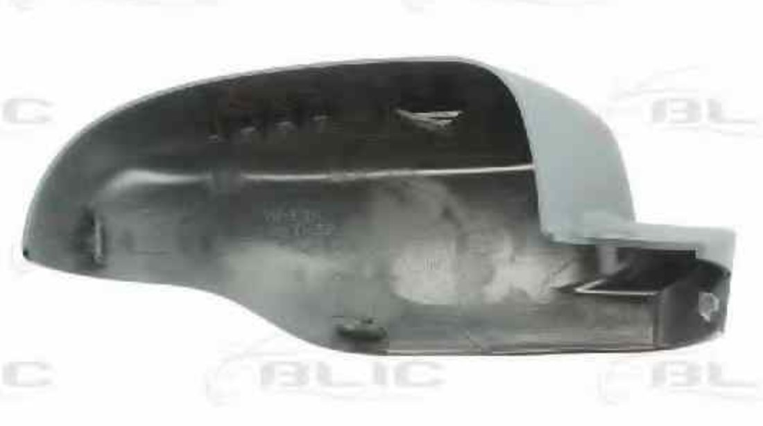 Capac oglinda exterioara RENAULT CLIO III BR0/1 CR0/1 BLIC 6103-09-049353P