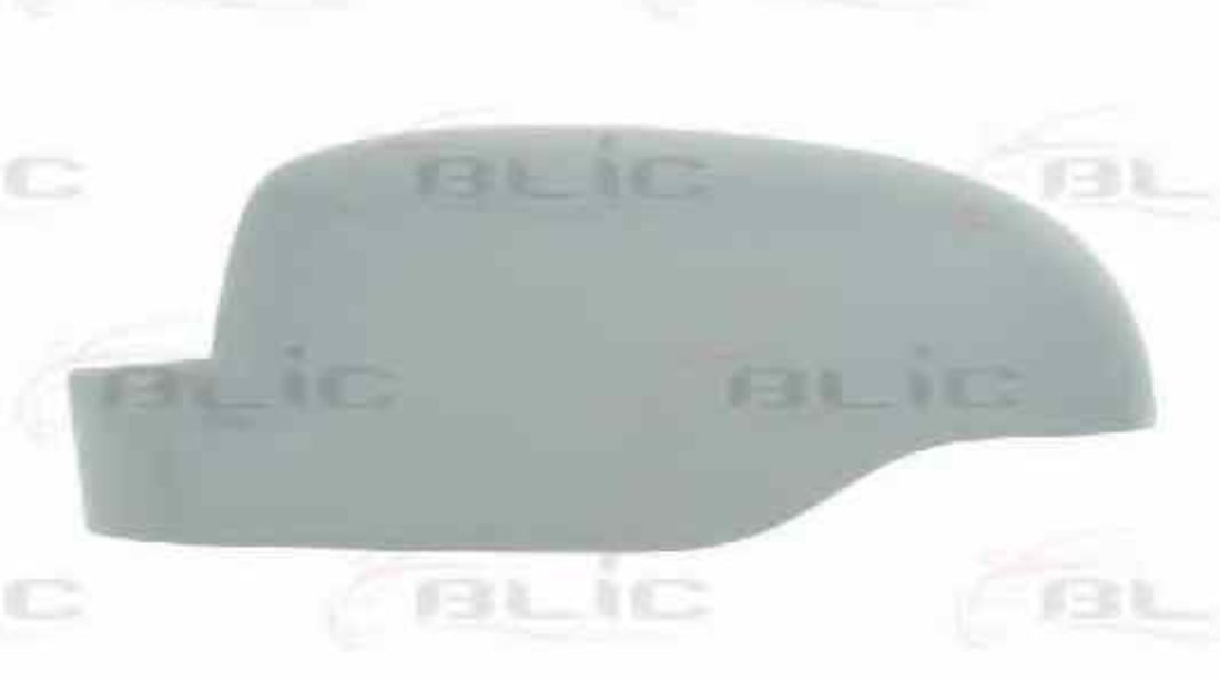 Capac oglinda exterioara RENAULT CLIO III BR0/1 CR0/1 BLIC 6103-09-049353P