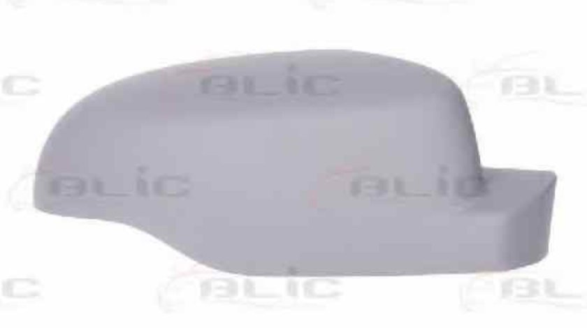 Capac oglinda exterioara RENAULT CLIO III BR0/1 CR0/1 BLIC 6103-09-049352P