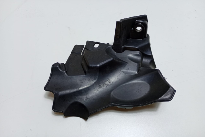 Capac ornament alternator 231769503R Ren