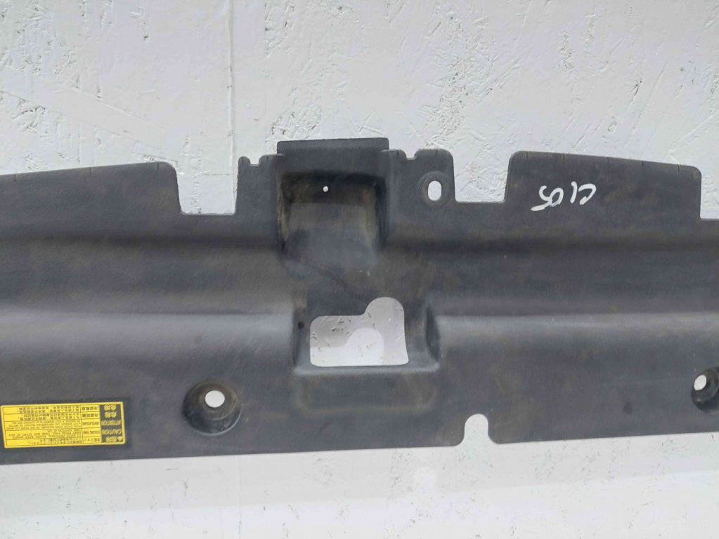 Capac panou Toyota Rav 4 III (ACA3, ACE, ALA3, GSA3, ZSA3) [Fabr 2005-2013] 53289-42010