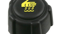 Capac radiator Renault CLIO 2013> #2 01674