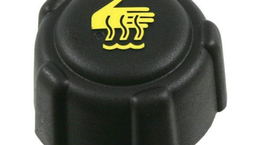 Capac radiator Renault TWINGO I 1993-> #2 01674