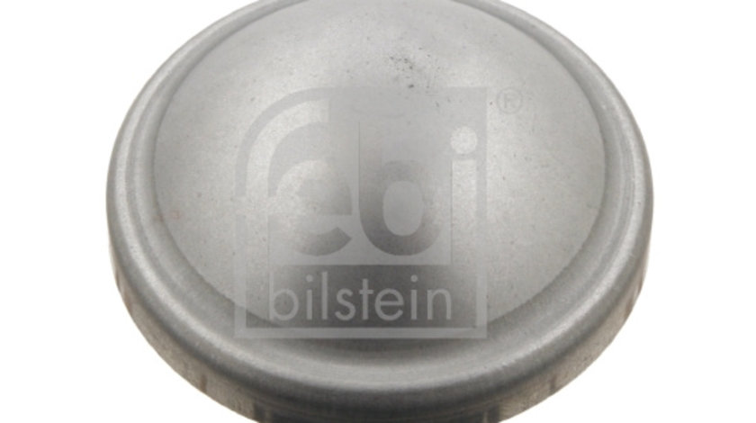 Capac,rulment roata Axa spate ambele parti (29854 FEBI BILSTEIN) FORD,MAZDA