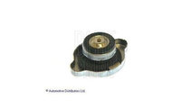 Capac vas expansiune Hyundai SANTA FE I (SM) 2000-...