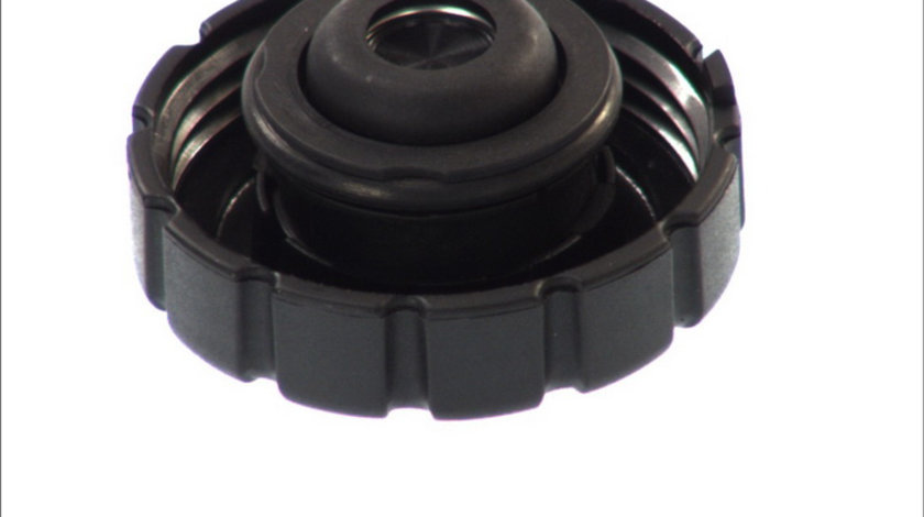 Capac vas expansiune MERCEDES 190 (W201), A (W176), B (W246, W242), C (C204), C (CL203), C T-MODEL (S202), C T-MODEL (S203), C T-MODEL (S204), C (W202), C (W203), C (W204) 1.0-7.3