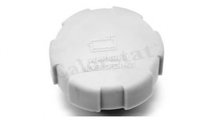 Capac vas expansiune Opel ASTRA G combi (F35_) 199...