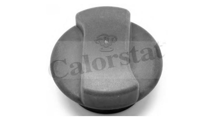 Capac vas expansiune Seat SEAT ALHAMBRA (7V8, 7V9) 1996-2010 #2 03650