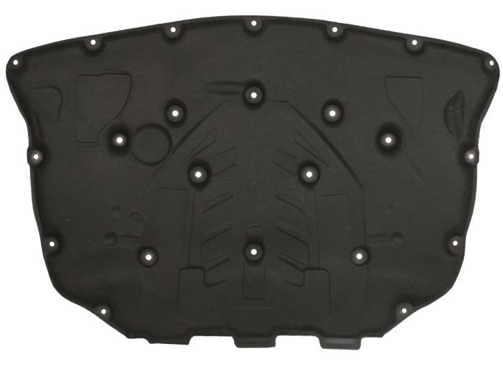Capitonaj Capota Motor Blic Bmw Seria 5 F11 2009-2016 6804-00-0066291P