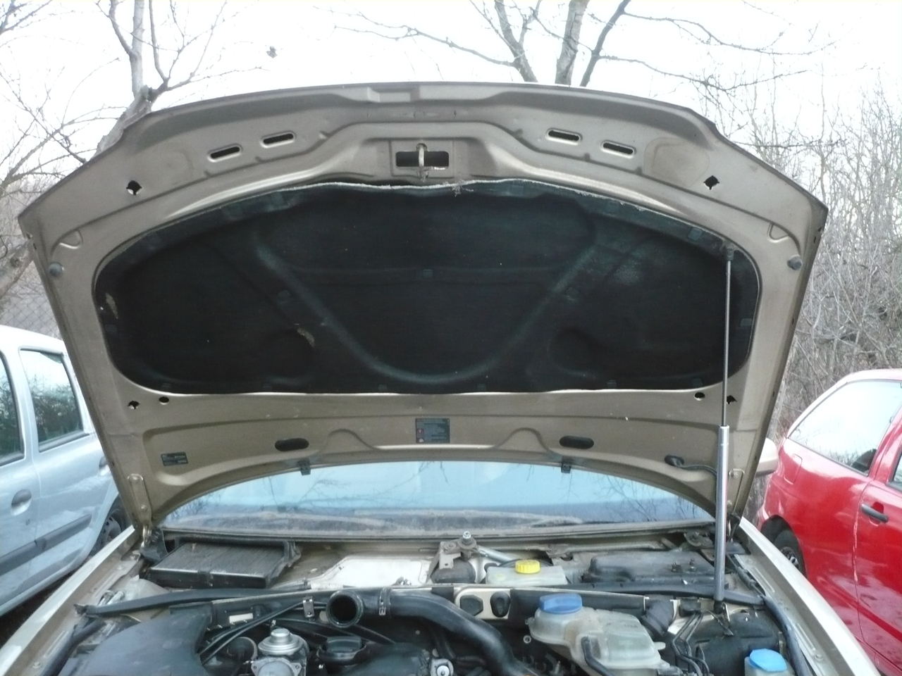 Capitonaj Capota Vw Passat B5.5 2001 2005