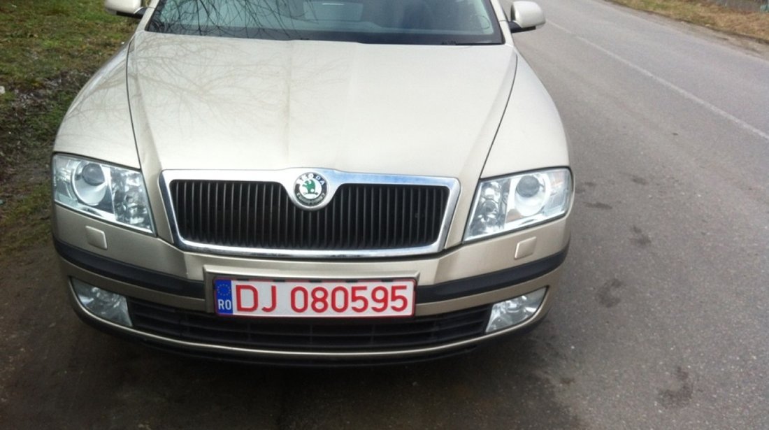 Capoata Motor Cu Grila Skoda Octavia 2