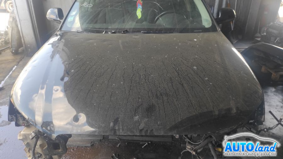 Capota Batuta de Gheata Audi A3 8P 2003