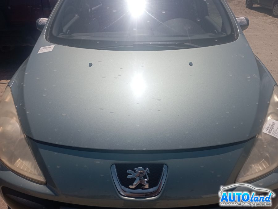 Capota Facelift Peugeot 307 3A/C 2000