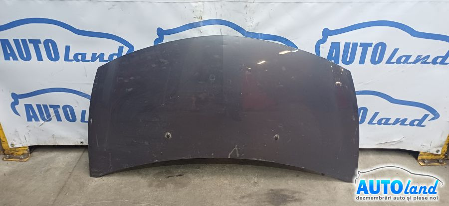 Capota Facelift Renault CLIO III BR0/1,CR0/1 2005