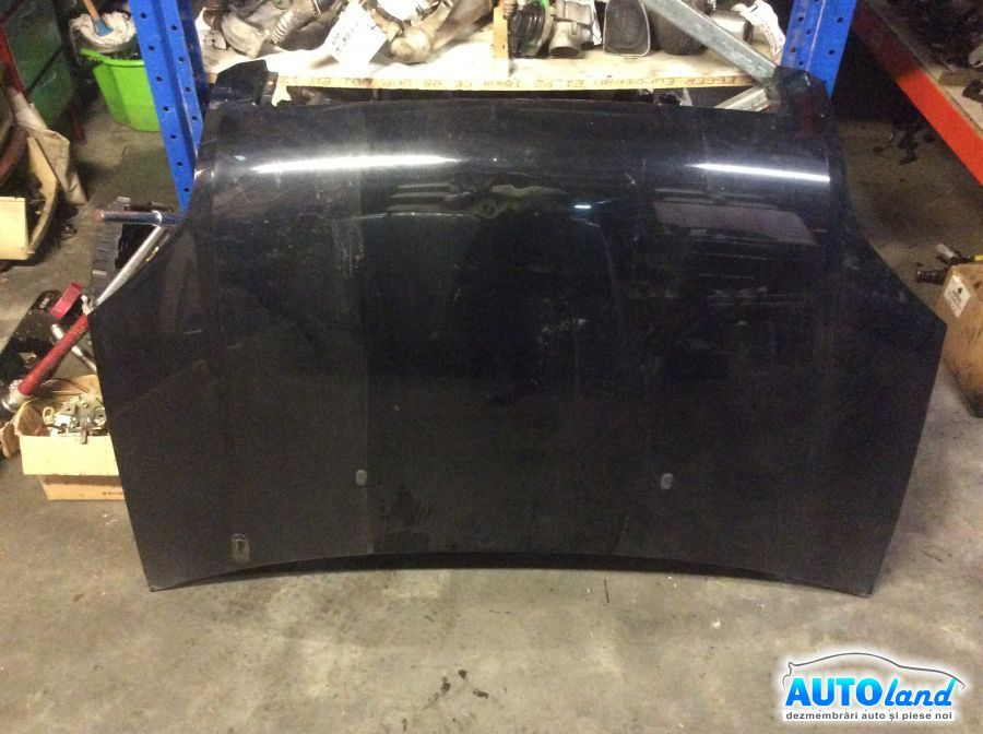 Capota Fara Grila Ford FUSION JU 2002