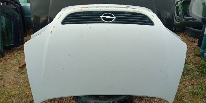 Capota fata Defecte Vopsea cu grila Opel Zafira A [1999 - 2003]