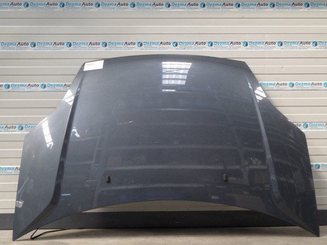 Capota fata, Ford Fiesta 5 2002-2008 (id:114255)