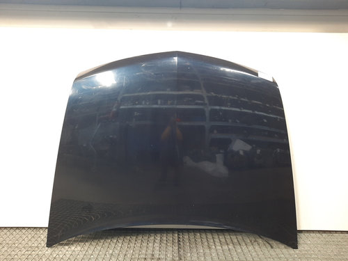 Capota fata, Renault Vel Satis [Fabr 2001-2009] (id:426977)