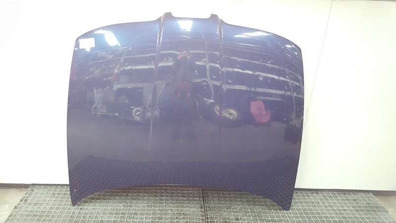 Capota fata, Seat Toledo 2 (1M2) (id:347501)