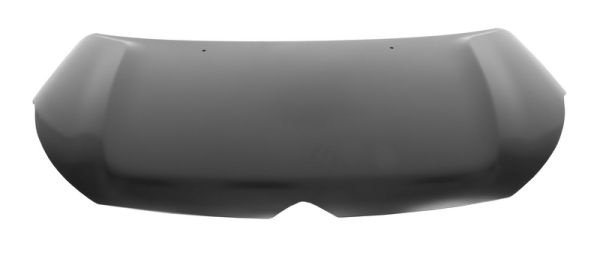 Capota motor (6803000539280P BLIC) Citroen