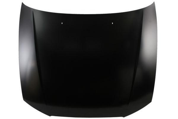 Capota motor (6803003155280P BLIC) HYUNDAI