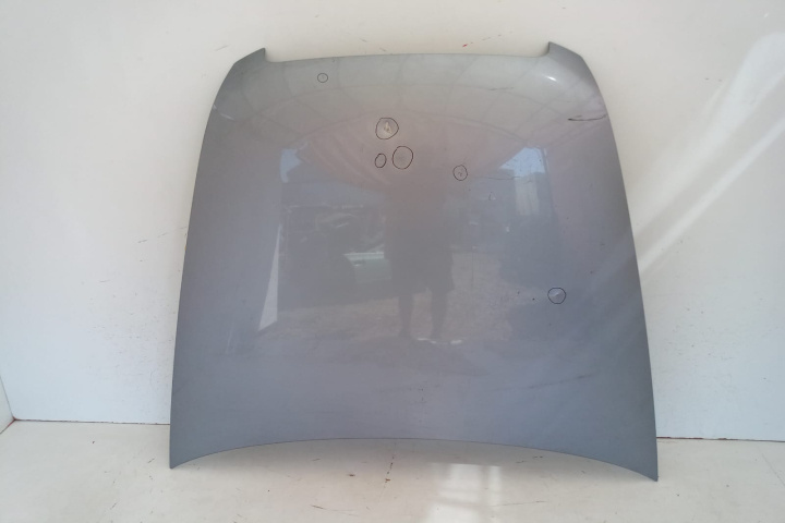 Capota motor Audi A6 4F/C6 [2004 - 2008]
