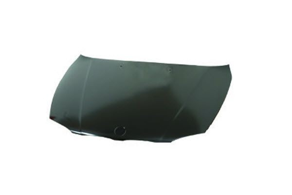 Capota motor BMW Seria 1 Cupe (E82) (2007 - 2013) QWP 1405 500 piesa NOUA
