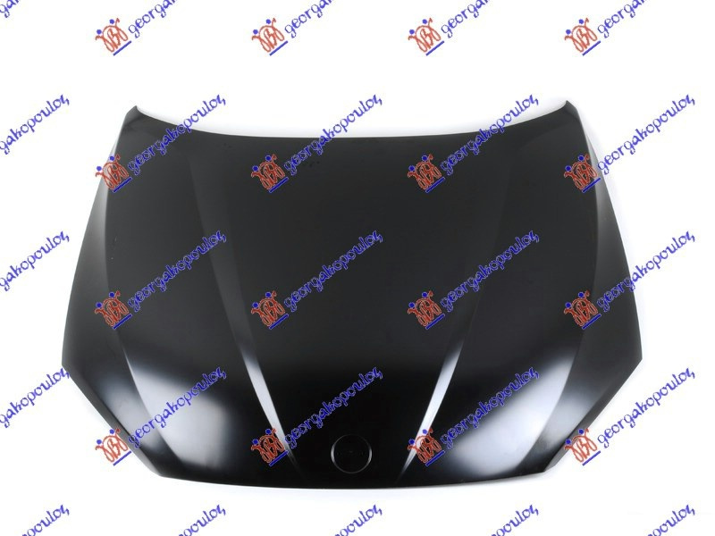Capota Motor - Bmw X1 (E84)2009 2010 , 41002993151