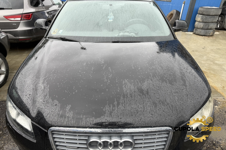 Capota motor Culoare LY9B Audi A3 8P/8PA [2th facelift] [2008 - 2013] 2.0TDI CBBB Quattro