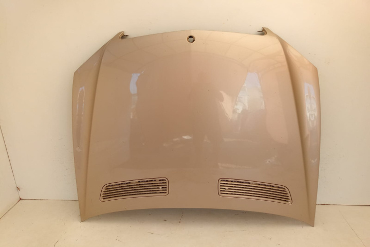 Capota motor Mercedes-Benz S-Class W221 [2005 - 2009]