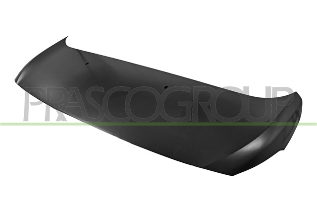 Capota Motor Otel Scudo 2022 >> Prasco Fiat FT8803100
