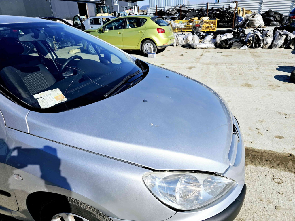 Capota motor Peugeot 307 [Fabr 2000-2008] EZR