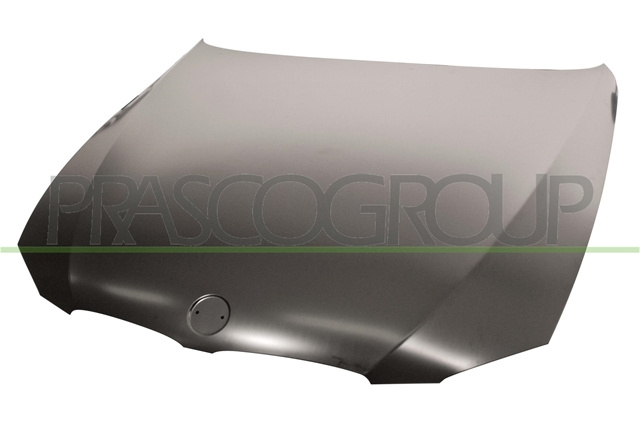 Capota Motor Prasco Bmw BM0253100