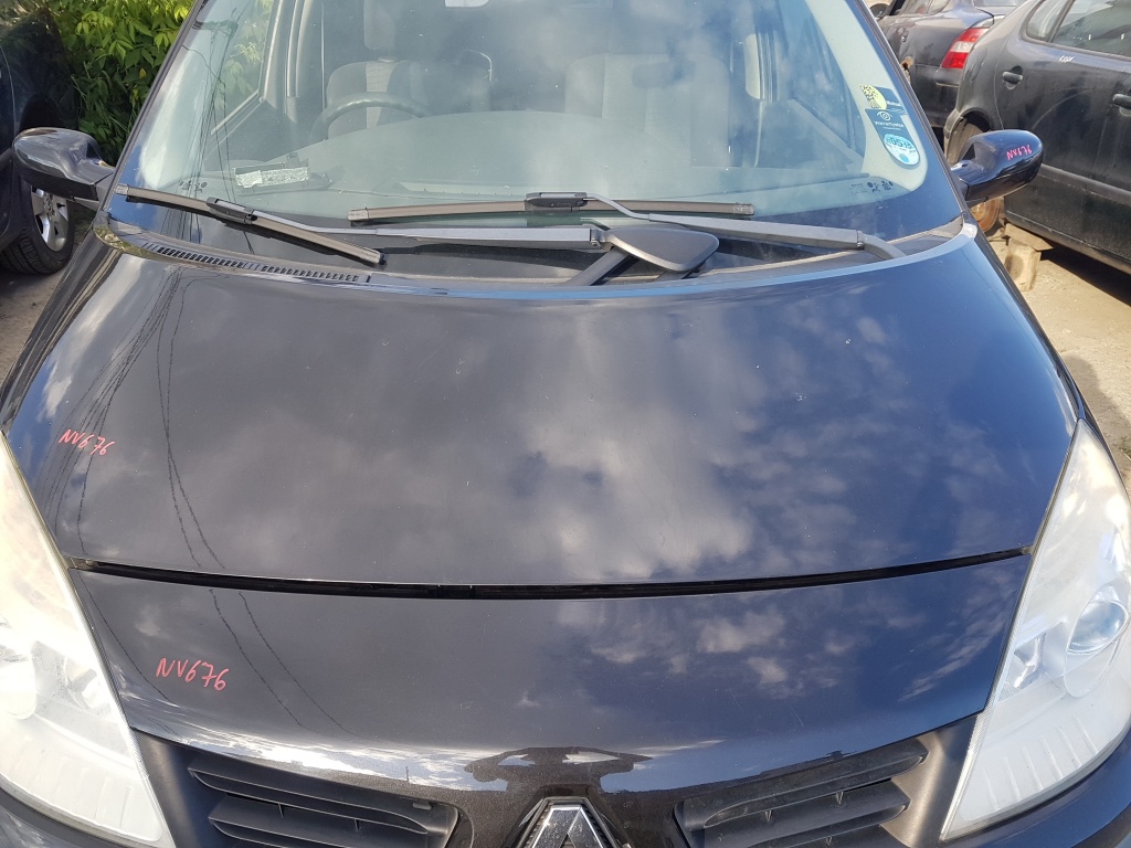 Capota Motor Renault Scenic 2 2006 - 2009 Cod Culoare NV676 [L219]