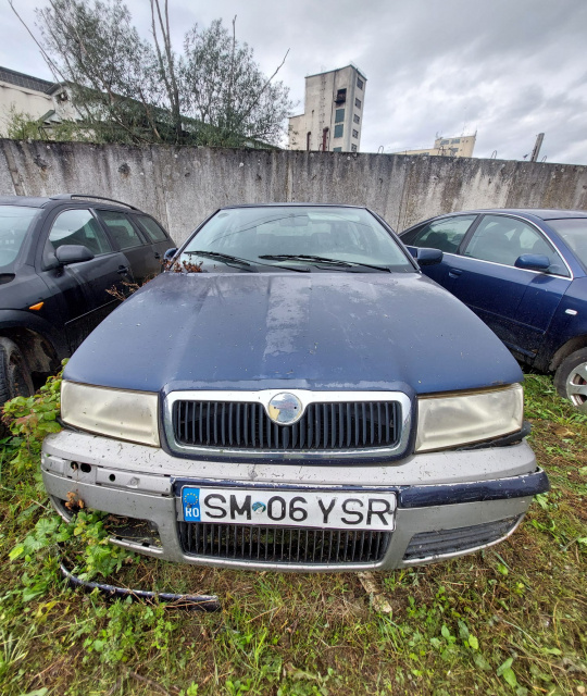 Capota motor Skoda Octavia [1996 - 2000] Liftback 5-usi 1.6 MT (75 hp)