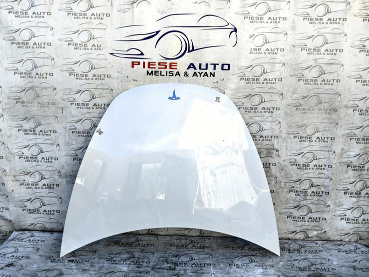 Capota motor Tesla Model 3 an 2017-2018-2019-2020-2021-2022-2023 4EWLHC38TJ