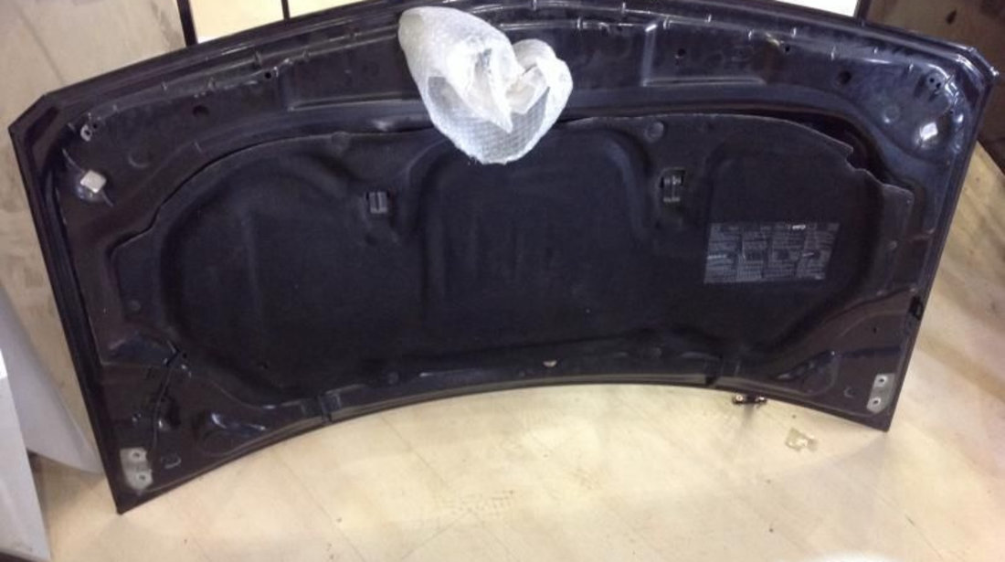 Capota Neagra 2 Mici Indoituri Renault MEGANE II BM0/1 ,CM0/1 2002