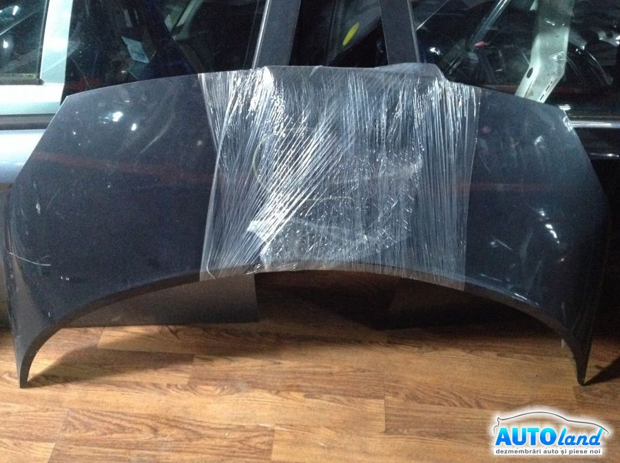 Capota Neagra Renault SCENIC II JM0/1 2003